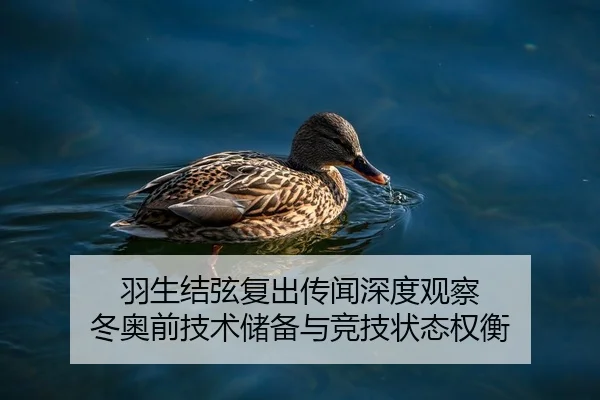 羽生结弦复出传闻深度观察 冬奥前技术储备与竞技状态权衡