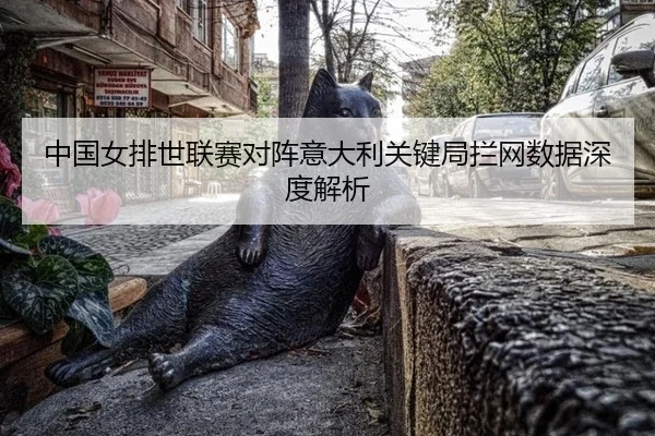 中国女排世联赛对阵意大利关键局拦网数据深度解析