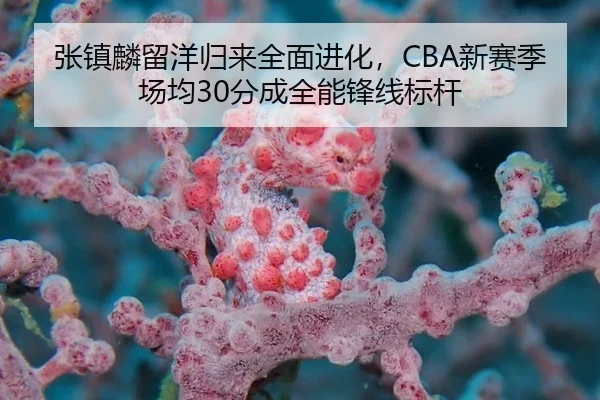 zhang-zhen-lin-liu-yang-gui-lai-quan-mian-jin-hua-xin-sai-ji-chang-jun-fen-cheng-quan-neng-feng-xian-biao-gan-2-414.jpg