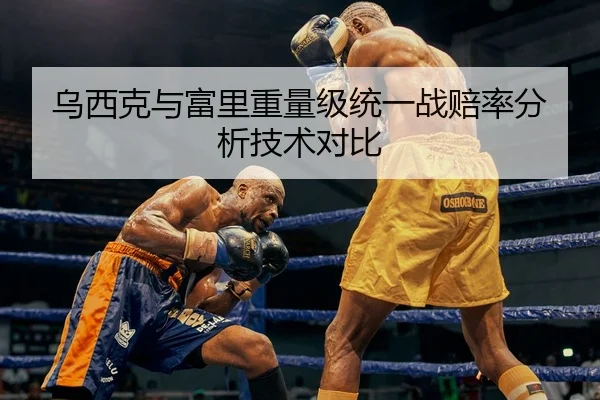 乌西克与富里重量级统一战赔率分析技术对比